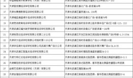 最新爆料执行官名单公示,揭秘神秘执行官名单公示背后的秘密