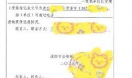 网红吃瓜q群免费,揭秘娱乐圈幕后故事，免费畅享八卦盛宴